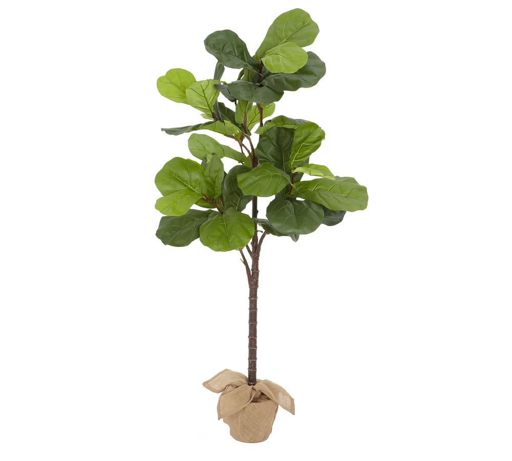 Faux Potted Fiddle Leaf Fig Trees Pottery Barn