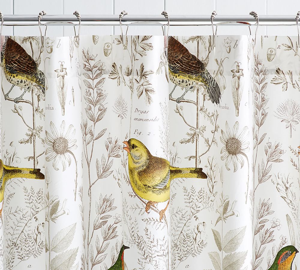Meadowlark Organic Shower Curtain Pottery Barn