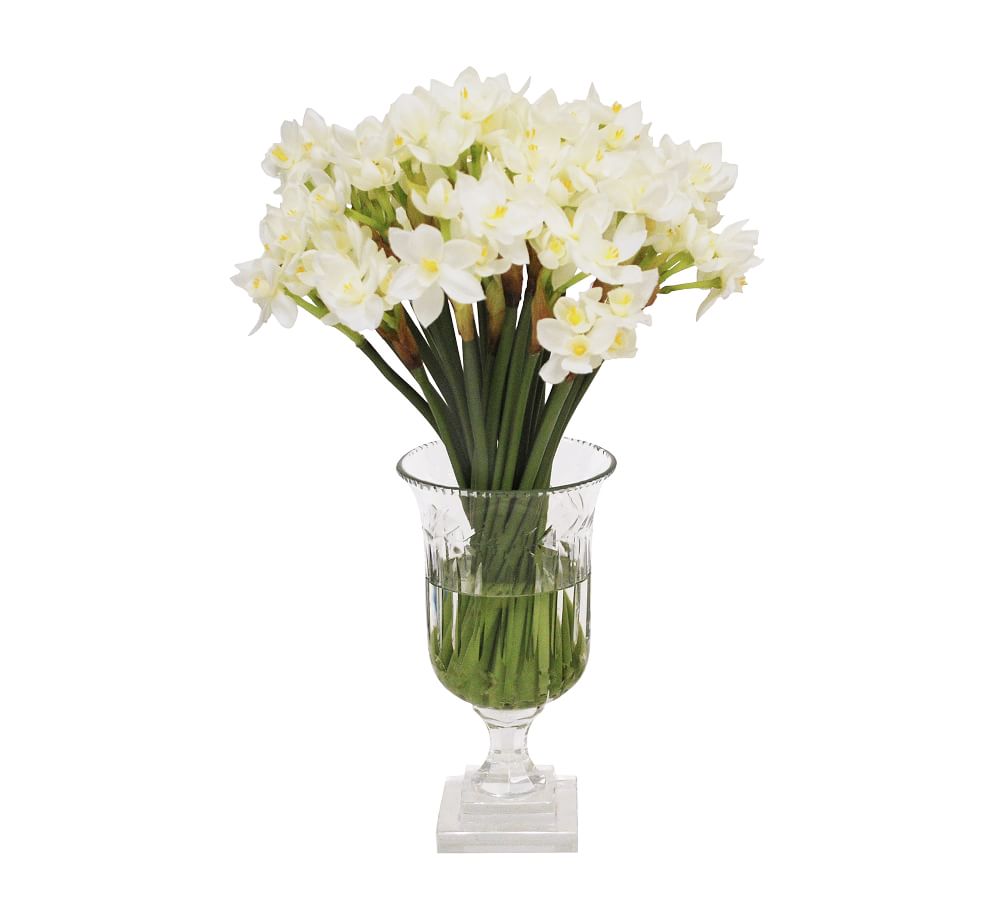 Faux Paperwhite In Glass Vase Pottery Barn