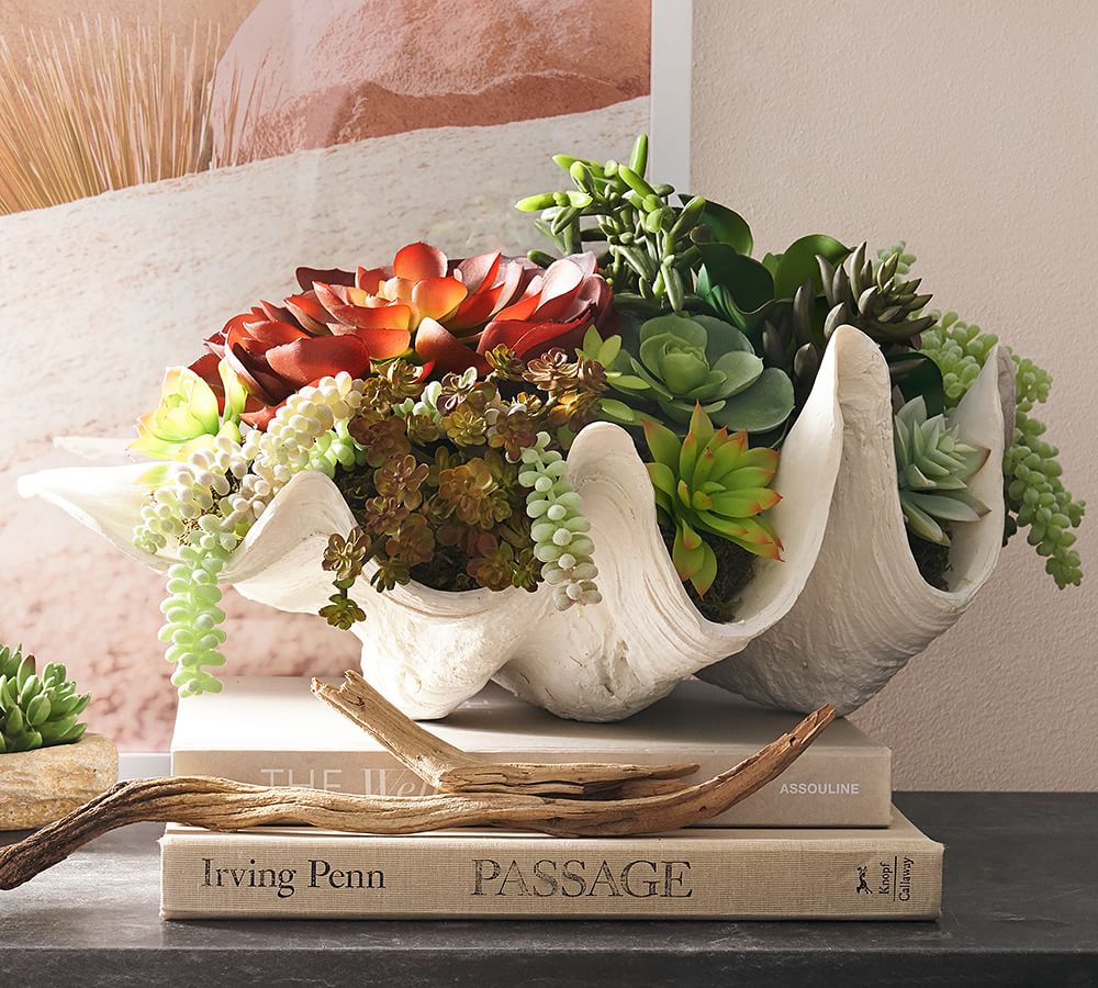 Faux Succulent in Clamshell Pottery Barn