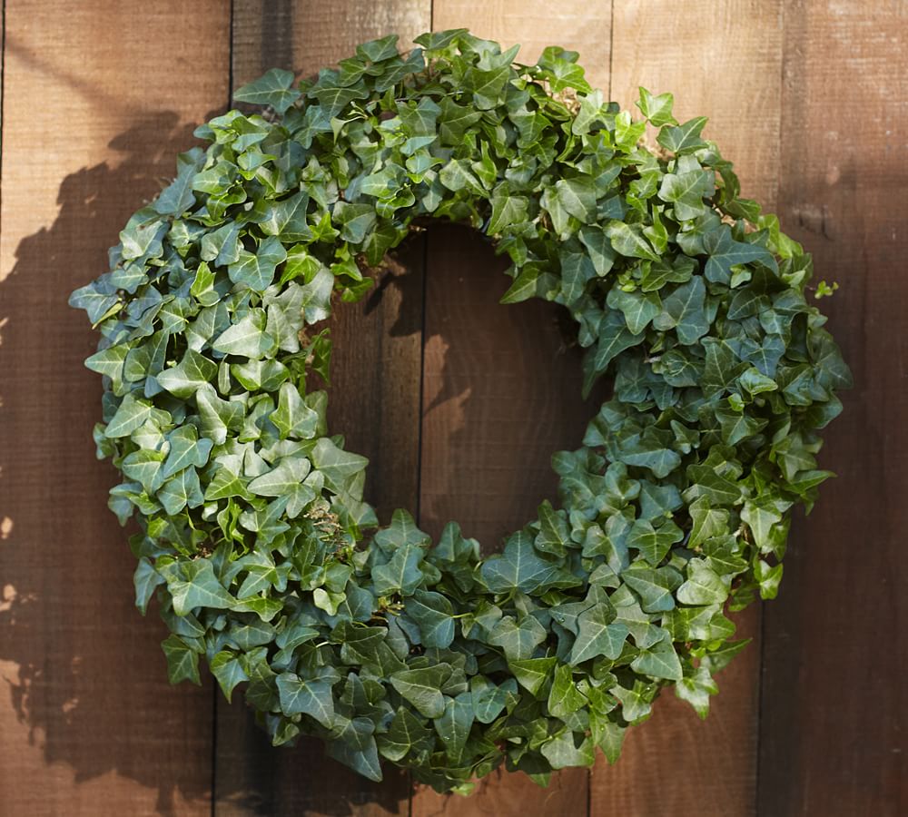 Live Ivy Wreath Pottery Barn