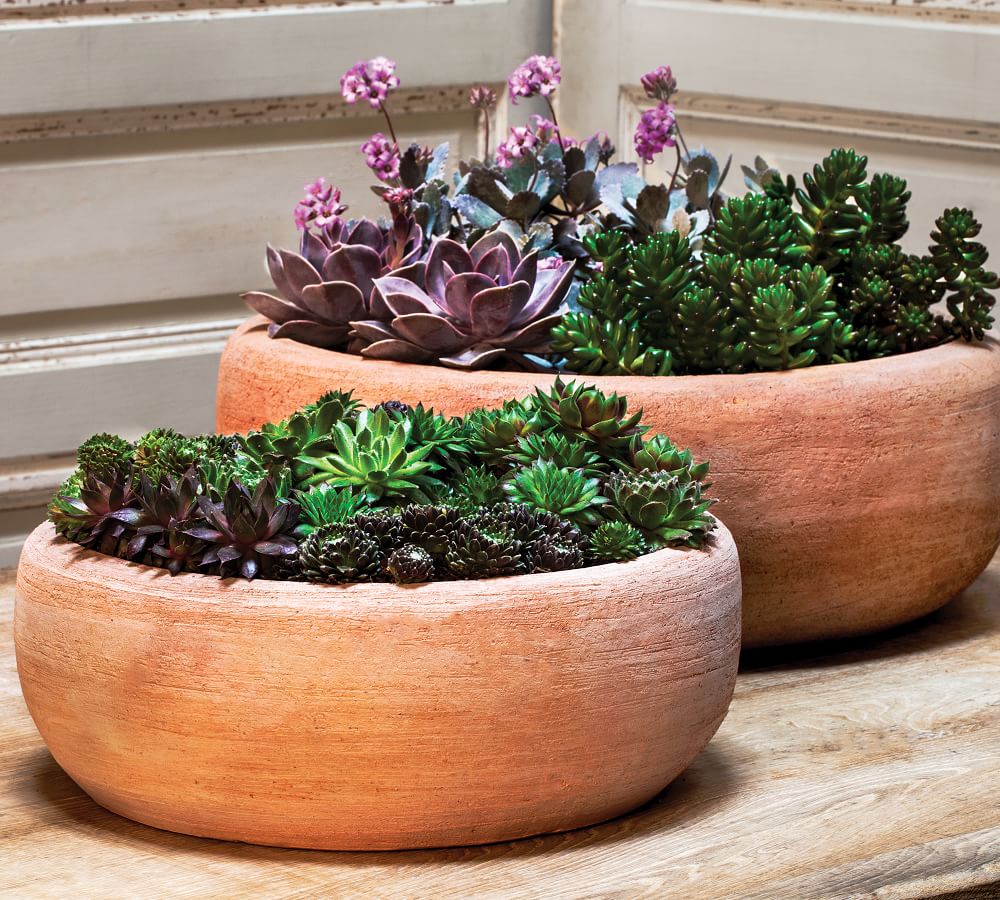 low ceramic planter bowl