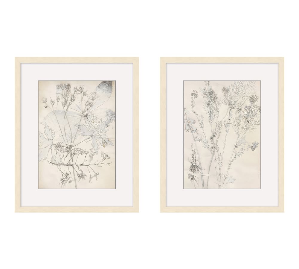 Ivory Foliage Prints | Pottery Barn