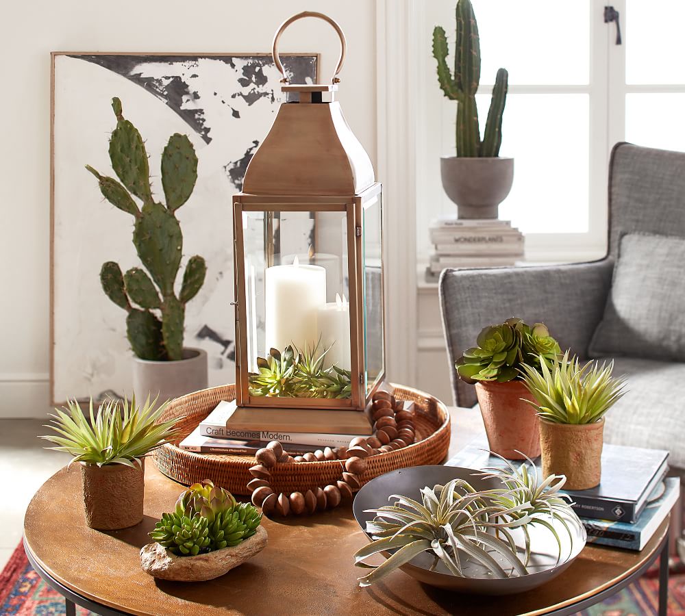 Faux Potted Spikey Succulent Pottery Barn