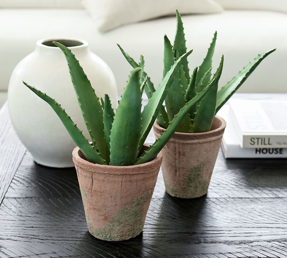 Faux Potted Spiked Aloe Plant 