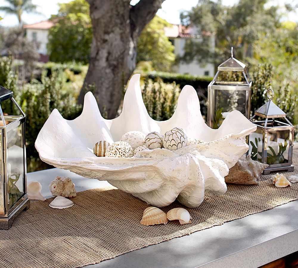 Giant Clam Shell Pottery Barn
