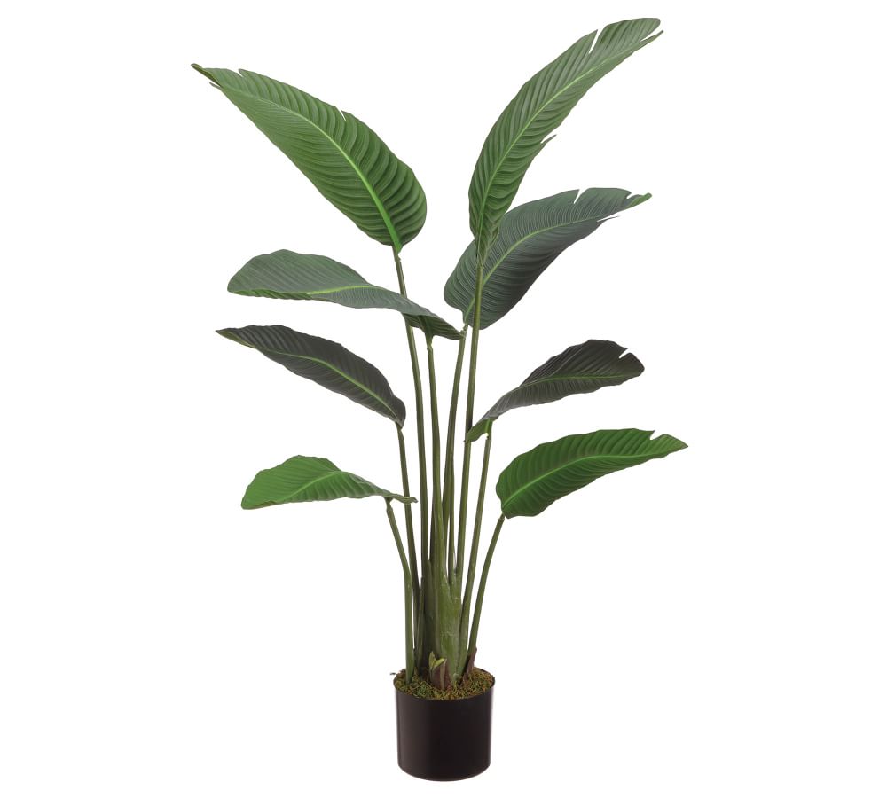 Faux Bird Of Paradise Plant | Pottery Barn