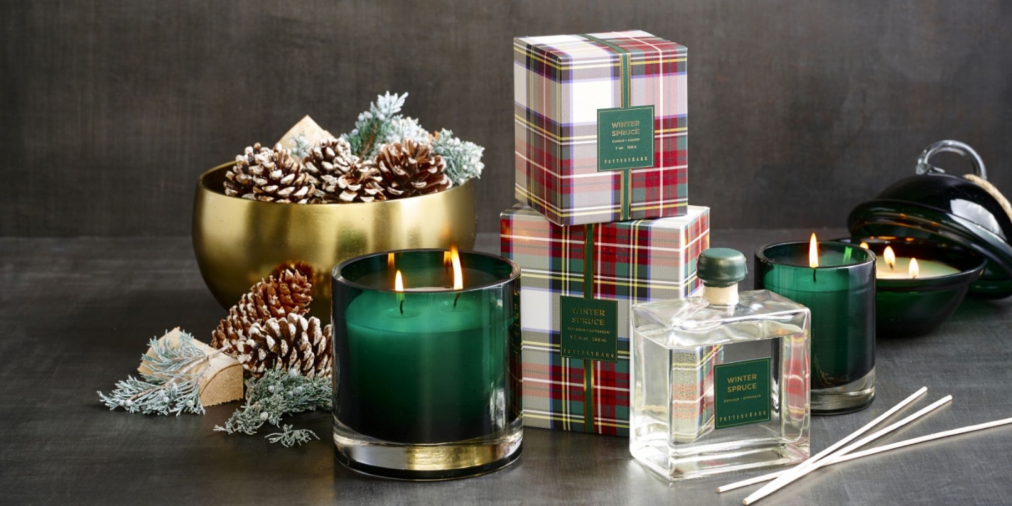 Winter Spruce Scent Collection | Pottery Barn