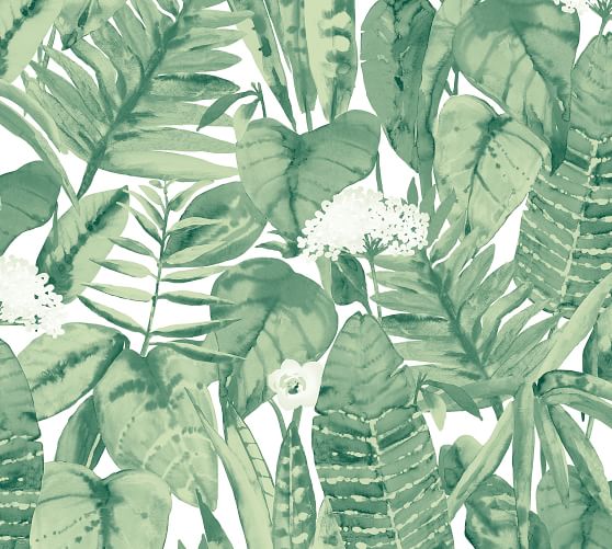 Tropical Jungle Green Leaf Removable Wallpaper Pottery Barn