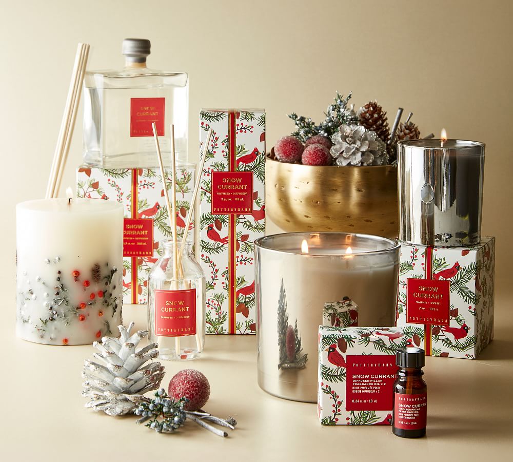 Snow Currant Scent Collection Pottery Barn