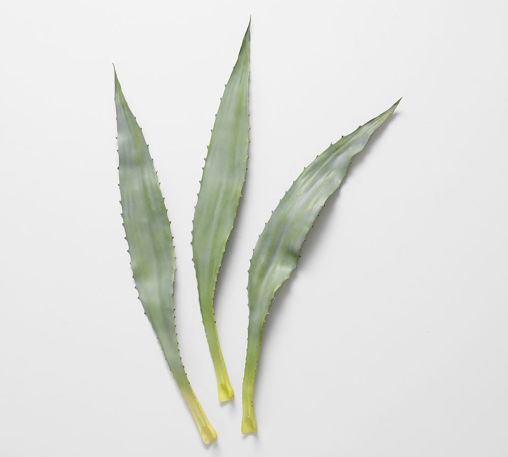 Faux Aloe Leaf Pottery Barn