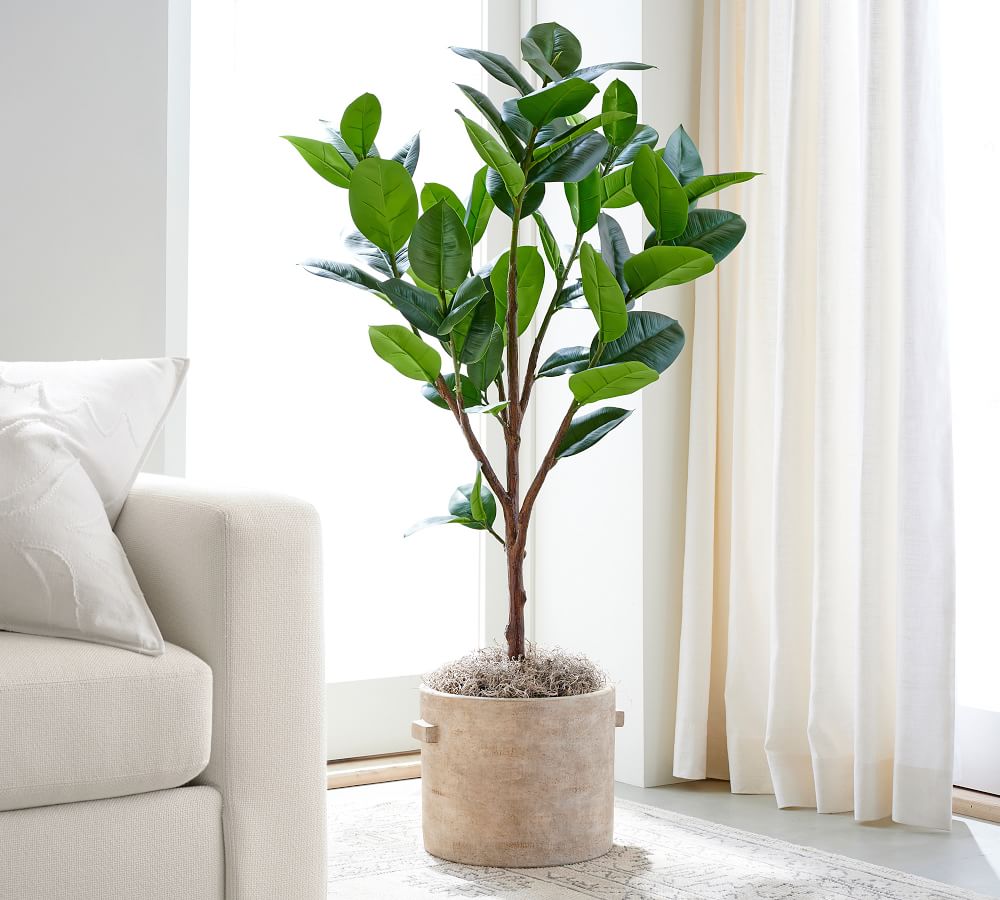 Faux Potted Rubber Tree | Pottery Barn