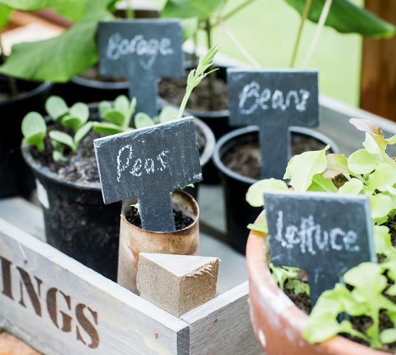 Greenhouse Tags With Chalk - Set of 6 | Pottery Barn