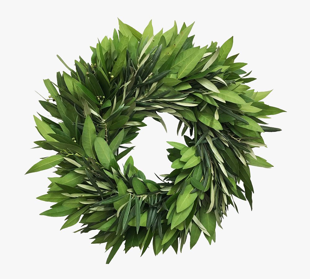 Fresh Bay Leaf and Olive Wreath Pottery Barn