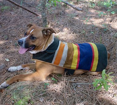 apache river fleece dog coat