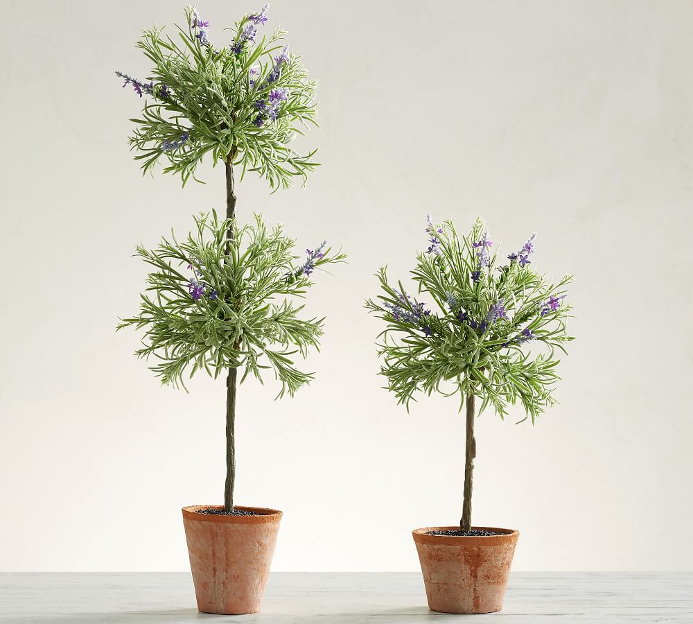 Faux Lavender Topiaries Pottery Barn