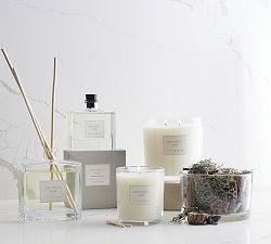 Signature Scent Collection - Gray Moss & Sage