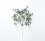 Faux Oversized Silver Dollar Eucalyptus Branch | Pottery Barn