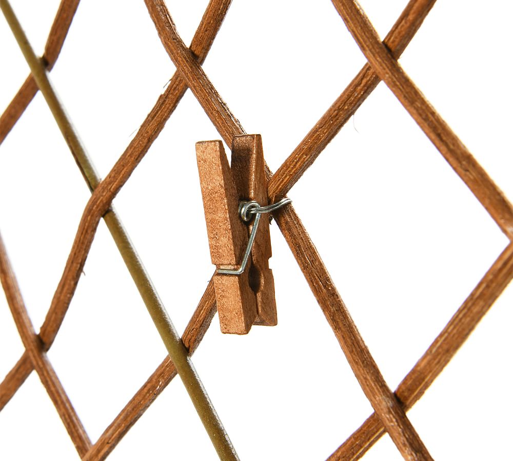 Alva Woven Photo Holder Pottery Barn