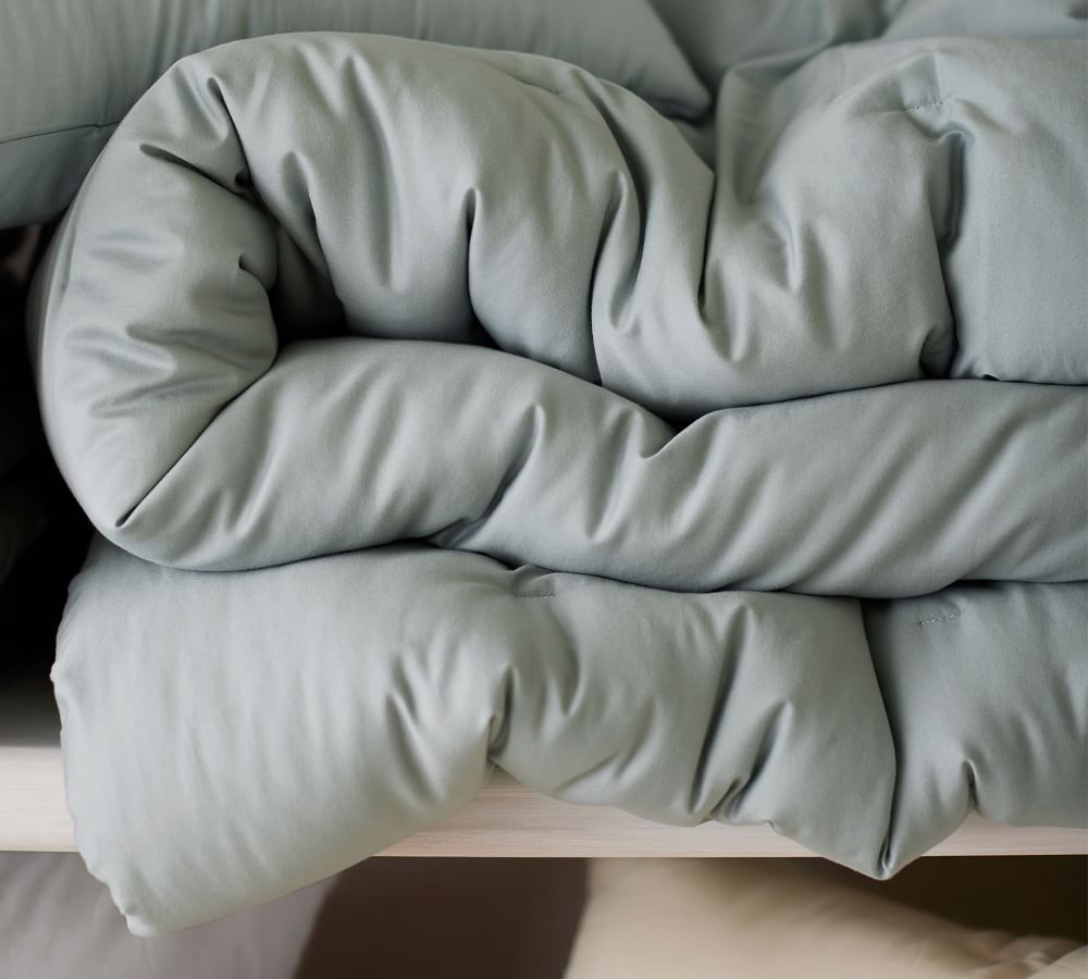 Dream Brushed Cotton Comforter Pottery Barn