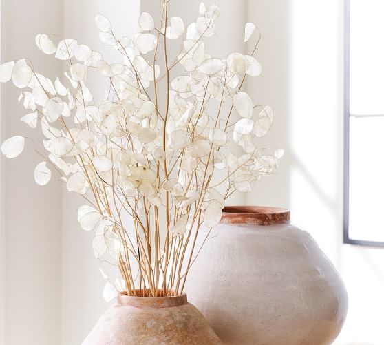 Dried Lunaria Bundle | Pottery Barn