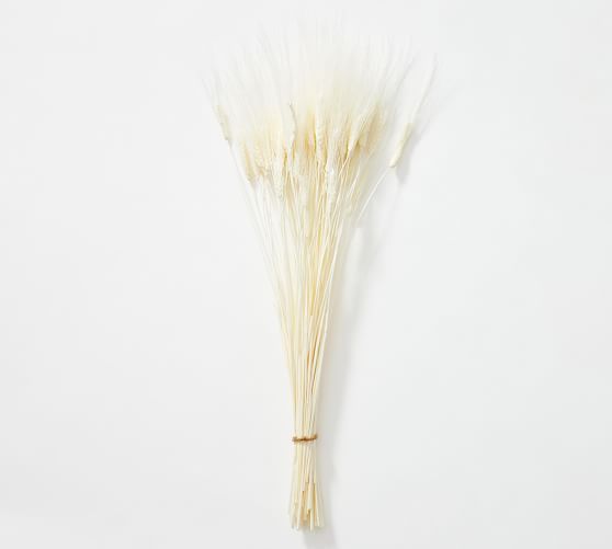 Bleached Wheat Bundle | Pottery Barn