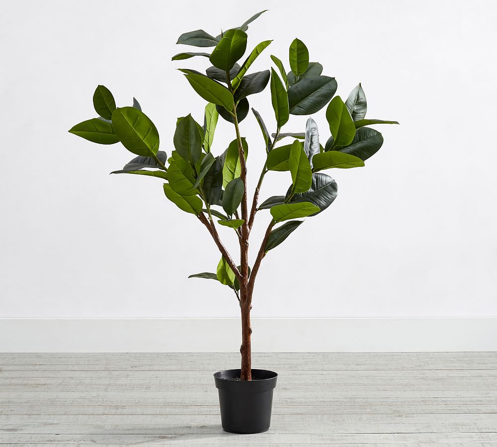 Faux Potted Rubber Tree Pottery Barn