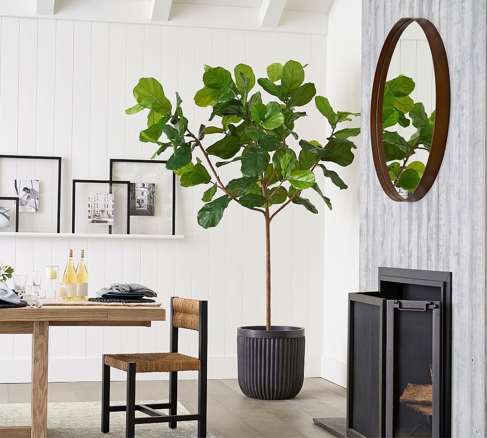 Faux Fiddle Leaf Fig Trees Pottery Barn