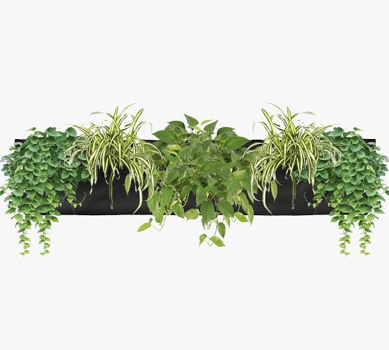 Breathable Felt Wall Hanging Plant Pocket Set of 2 Pottery Barn
