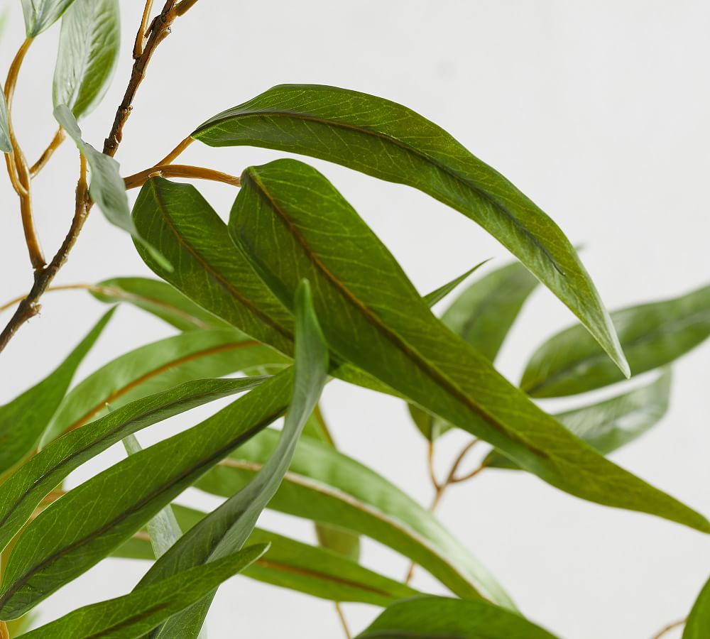 Faux Potted Eucalyptus Tree Pottery Barn