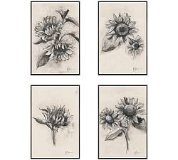 Charcoal Sunflower Sketch by The Artists Studio