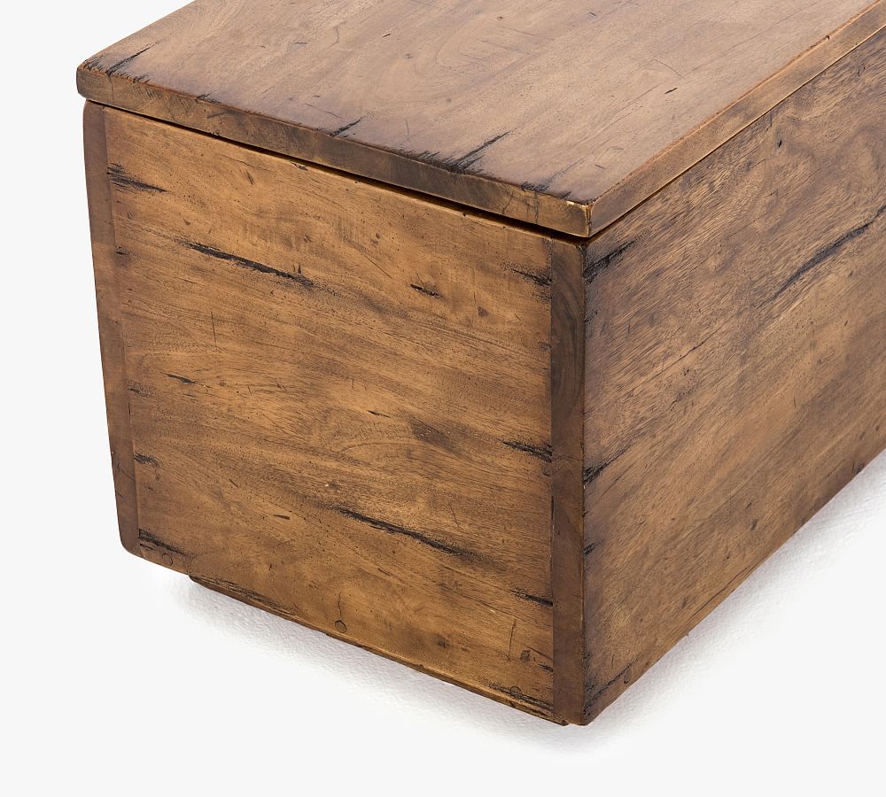 Parkview Reclaimed Wood Trunk Pottery Barn