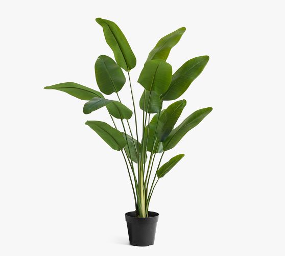 Faux Banana Palm Tree Pottery Barn