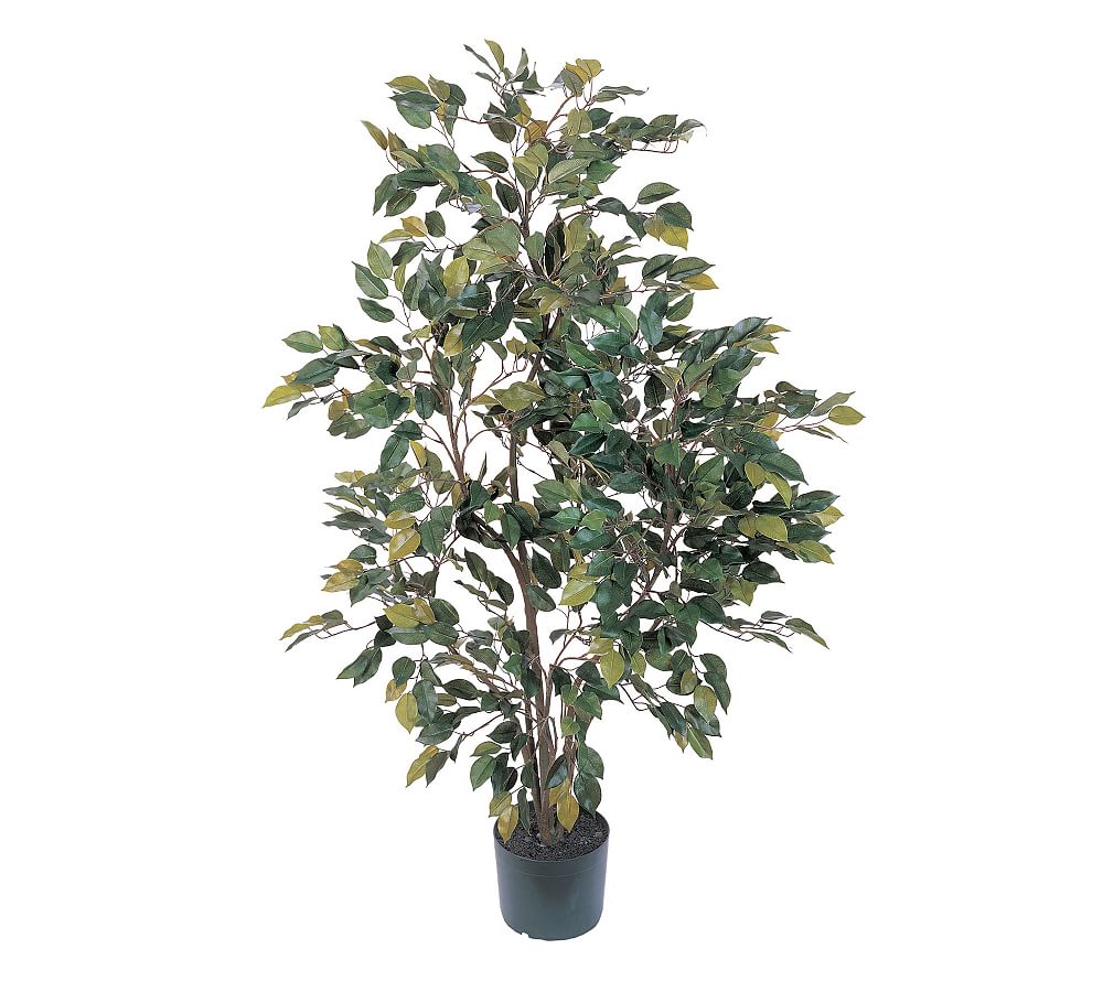 Faux Ficus Tree Pottery Barn