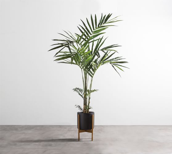 Faux Potted Kentia Palm | Pottery Barn