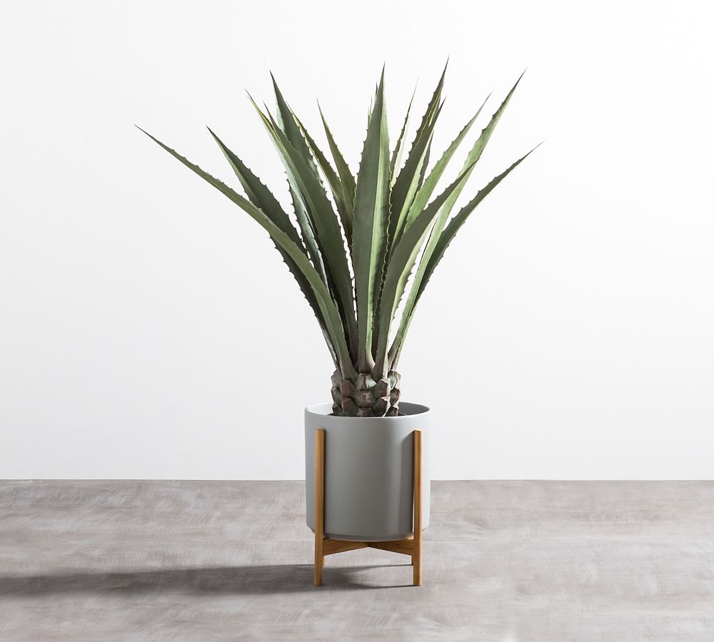 Faux Potted Agave Plant Pottery Barn