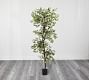 Faux Variegated Ficus Tree | Pottery Barn