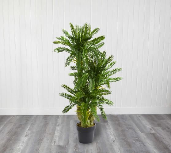 Triple Potted Cycas Faux Plant Pottery Barn