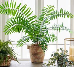 Faux Potted Sword Fern