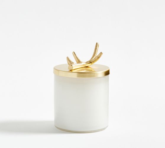 Stag Gold Lidded Scented Candle Winter Spruce Pottery Barn