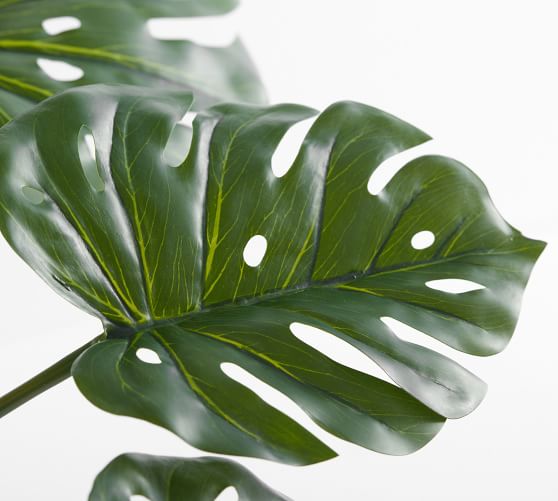 Faux Small Monstera Houseplant | Pottery Barn