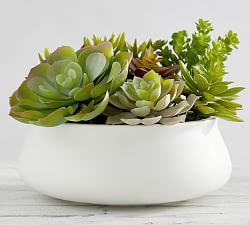 Faux Potted Succulent in Ceramic Bowl