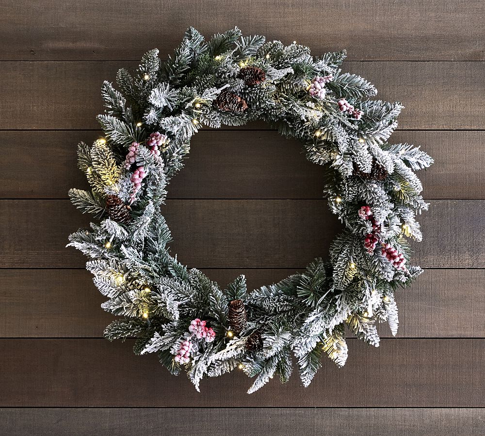 Papyrus 24" Pre-Lit Frosted Carolina Pine Artificial Wreath With Pine Cones & Warm White LED Lights, Battery Powered For Indoor/Outdoor - View #3