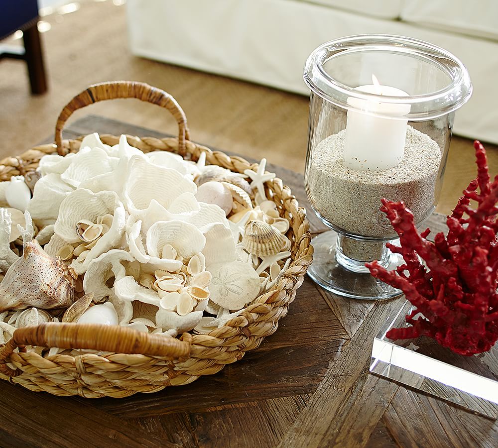 Beach Shell Vase Filler Pottery Barn