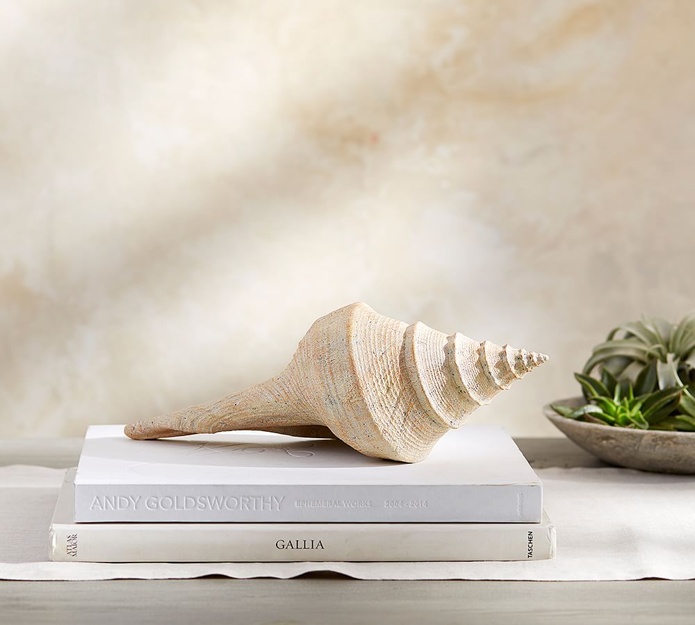 Resin Shell Decorative Objects Pottery Barn