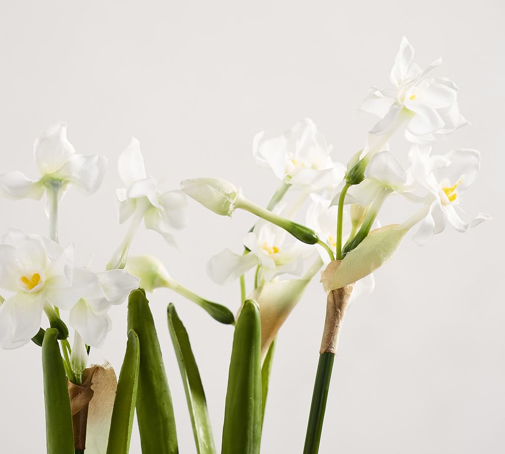 Faux Potted Paperwhites | Artificial Flowers | Pottery Barn