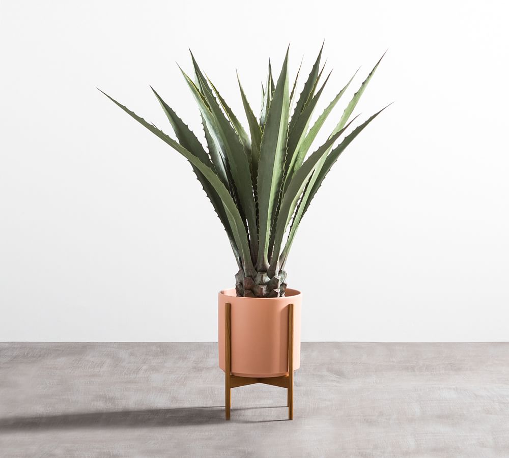 Faux Potted Agave Plant Pottery Barn