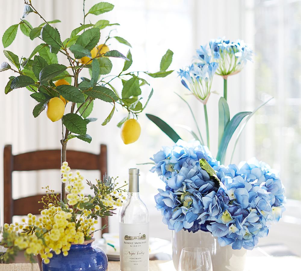 Faux Citrus Plant Collection Pottery Barn