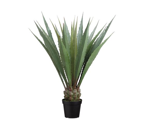 Faux Potted Agave Plant Pottery Barn
