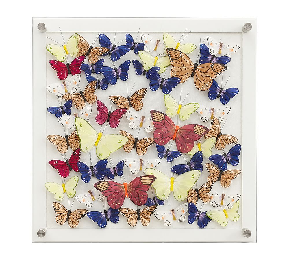 Mariposa Butterfly Shadow Box Pottery Barn